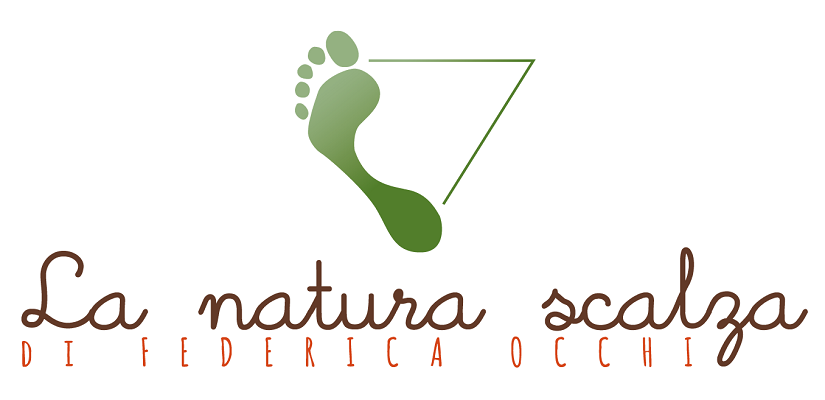naturopatiatorino Corso Base di Hatha Yoga